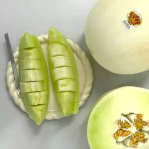 E 미국산 고당도 허니듀멜론 3.7kg내외(2입)