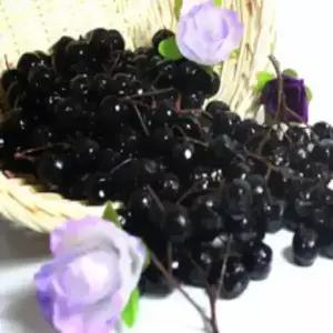 아로니아 생과 꼭지제거 2kg 예약 26일 발송