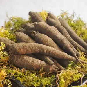 [더조은] 제주산 향긋한 흙더덕 1kg (중품)