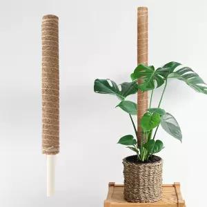 랩앤툴스 코코봉 연결형 식물 화분 몬스테라 지지대 지주대 플라스틱 수태봉 40cm