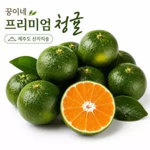 꿍이네 제주 청귤 생과 로얄과 청귤청 3kg 5kg 10kg
