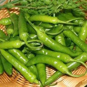청양고추(상) 5kg 1박스 자연대로팜웨이 8528617