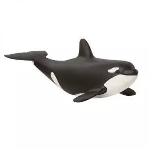 매장정품 SCHLEICH 아기 범고래