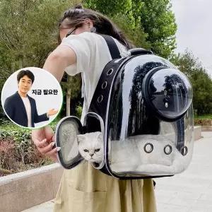 지금 필요한 이동가방 캡슐 반려동물 백팩 우주 강아지이동가방