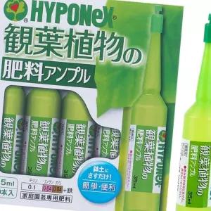 (다올)하이포넥스 앰플 식물영양제 35ml 10개입 질산칼슘 일본 원예