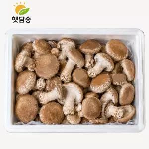 친환경 햇담송화버섯 가정용 정품중급 1kg 무농약 농협납품 송이향 송화고 송고버섯