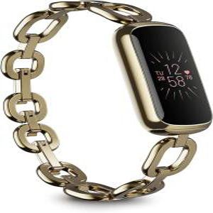 핏빗 Fitbit Luxe 스페셜에디션 피트니스 스마트밴드 워치 실버골드