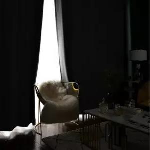 리얼100 암막 양면커튼 중형 가로290x세로230cm