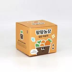 당근 모종 화분 식물 키우기 교육자료 유치원 어린이집 체험