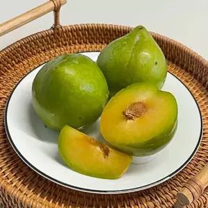 김천 영천 켈시 자두 1kg 15-25과 첼시자두 청자두 샤인머스켓 자두 푸른자두 초록자두 파란자두 녹색자두