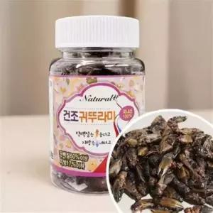 냉동 귀뚜라미 파충류 크레스티드 게코 도마뱀 먹이