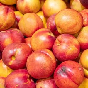 경북 가정용 자두 5kg(소과)