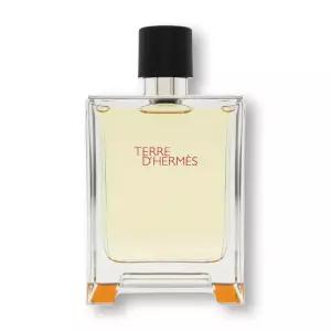 떼르 데르메스 EDT 100ml