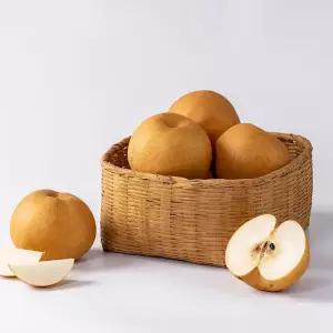 국내산 달콤하고 시원한 가정용 햇 배 신고배 5kg 소과 (20과내외)