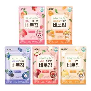 [루솔] 과일칩 그대로 바로칩 5종 (택1)