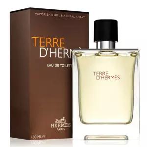 에르메스 떼르 데르메스 EDT 100ml
