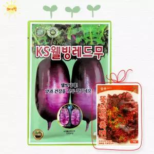 웰빙레드무300립 저장 김장 가을 레드 적색 항암 무 무우 씨앗 씨 종자