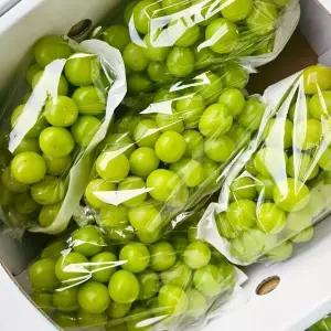 [하루딱50박스] 샤인머스켓 2kg 프리미엄 고당도
