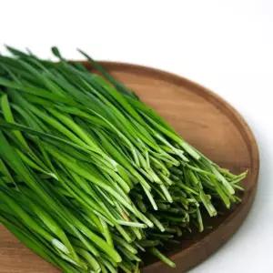 국내산 부추 4kg