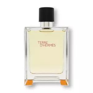 에르메스 떼르 데르메스 EDT 100ml