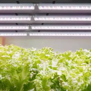 조명 식물 성 LED 식물등 등 생 국산 식물LED 풀세트 8개 장등 led led식물