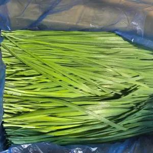 국내산 부추 4kg