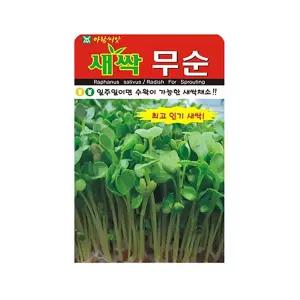 와이지유통 새싹 무순 씨앗 30g 매콤 쌉싸름한맛 소화 부기 샐러드 비빔밥 냉면 국수 김밥 쥬스 종자