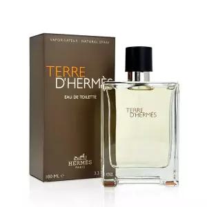 에르메스 떼르 데르메스 EDT 100ml [선물포장가능]