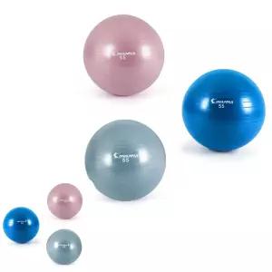포에코 짐볼 운동 스트레칭볼 55cm 필라테스 허리 아이워너 안티버 마사지볼