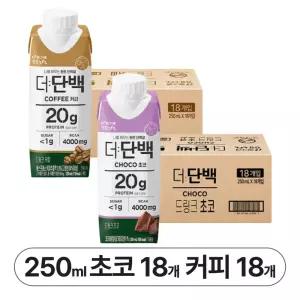 빙그레 더단백 드링크 36개 (초코 18개 + 커피 18개) 단백질 프로틴 250ml