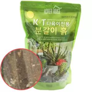 미니 분갈이 흙 책상 실내 화분 갈이 상토 다육이