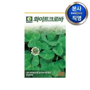 화이트 크로바 씨앗 1kg . 클로버 크로버 토끼풀 토양 침식 잡초 방지 씨 종자.