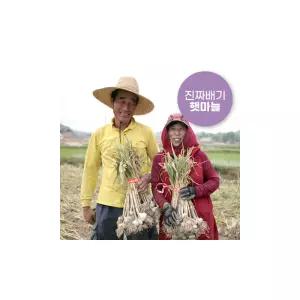 [한톨] 2025 의성한지형마늘 3kg(특)
