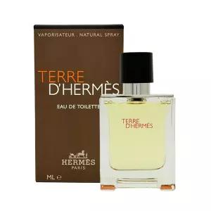 에르메스 떼르 데르메스 EDT 100ml