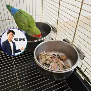 지금 필요한 모이통 걸이형 앵무새밥그릇 스텐 앵무새
