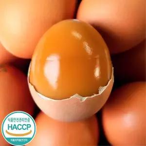 제이피농장 HACCP 구운계란 대란 구운란 60구