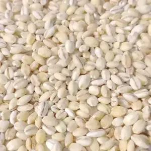군산 흰찰쌀보리4kg/흰찰보리/찰보리