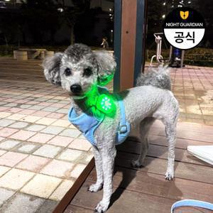 P미니 네모 강아지 LED 펜던트 야간산책 반려견 야광 목걸이 USB 충전형 국산