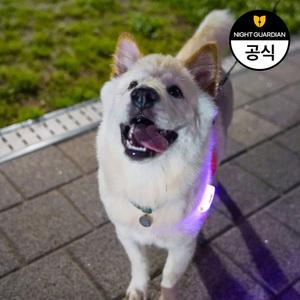 P미니 세모 강아지 LED 펜던트 야간산책 반려견 야광 목걸이 USB 충전형 국산