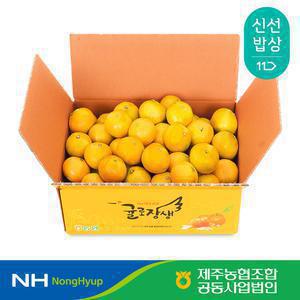 [첫출하] 제주농협 귤로장생 하우스감귤 4.5kg 소과(2S 이하)