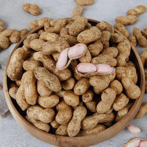 2026년 국산 햇땅콩 고소한 피땅콩 삶아먹는 생땅콩 4kg