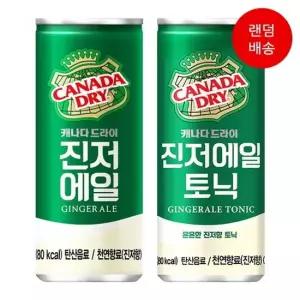 캐나다드라이 진저에일 250ml 30캔 탕비실 간식