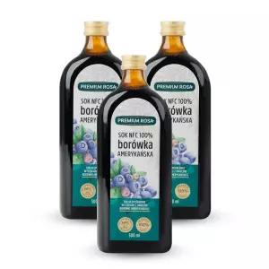 데일리원 프리미엄로사 블루베리 원액 즙 100% 500ml 3병