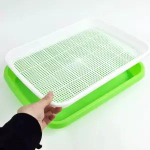 콩나물 새싹 수경재배기 2단 씨앗 발아 화분 트레이