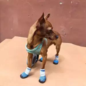 산책 신발 애견 반려견용품 강아지 소형견신발 실내외 애완견신발 강아지신발 EWFHXJQJ12