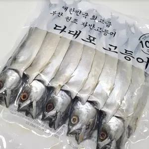 부산 다대포 자반고등어 10마리 (340g내외*33cm내외)대자 * 10마리 1세트