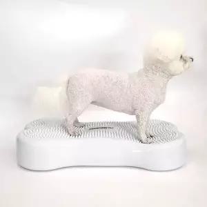 딩동펫 강아지 짐볼 운동 입문용 관절 근육 강화 용품 뼈다귀 1개 MNS