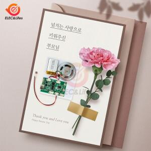 타입 C 녹음 가능한 사운드 모듈 MP3 버튼 제어 음악 음성 플레이어 프로그래밍 보드 스피커 포함 DIY 인사