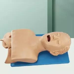 의료용 실습모형 기관내삽관 연습 인체 기도 인형 더미 키트 전자 교육 성인 의대