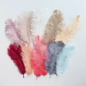천연 타조 깃털 장식 인테리어 10color/미니 깃 사진